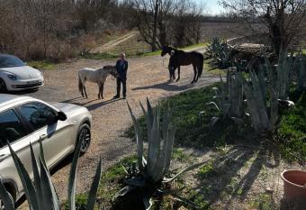 L   Aubergerie allows 18 year olds to book a room