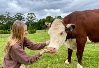 100 acres of mountain paradise all to yourself has Balcony rooms