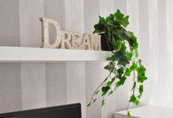 2 DREAM Apartment 2 + parcare gratuita has Balcony rooms