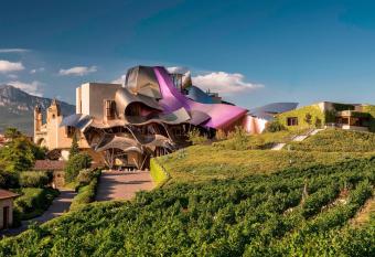 Hotel Marqu  s de Riscal, a Luxury Collection Hotel, Elciego allows 18 year olds to book a room