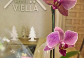 Hotel Viella has Balcony rooms