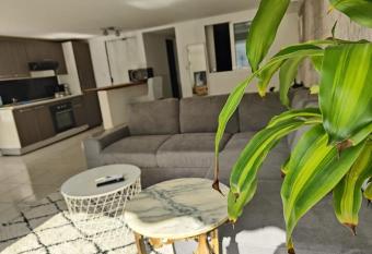 ZIN AND GREEN JACUZZI SuperbeT2 spacieux id  alement situ   allows 18 year olds to book a room