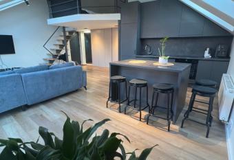 LOFT 1 BD Castle Apartament with free parking allows 18 year olds to book a room