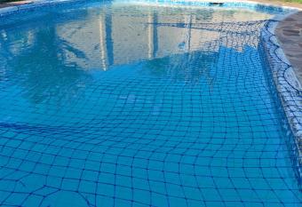 Diamonds on 2 Patricia Place allows 18 year olds to book a room