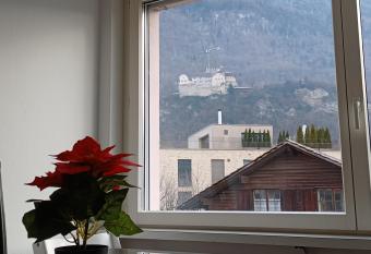 Castle View Big Appartment Vaduz Center has rooms with a private hot tub