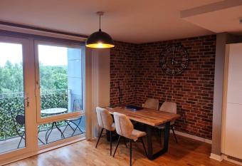 Lovely 1 bedroom apartment near the city center has Balcony rooms