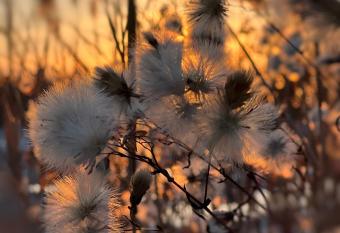 B&B Casa Amalfitana Gols has Balcony rooms