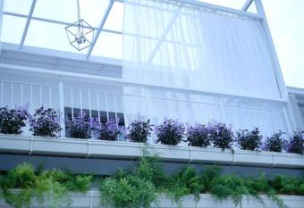 Comfy Sofy 23- Balcony Garden (Night market) has Balcony rooms