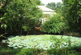 Heritage Home has Smoking/Balcony rooms