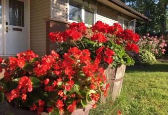 Graham Homestay has Balcony rooms