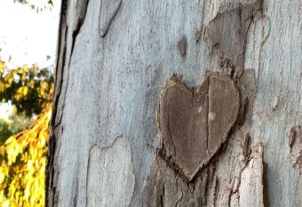 Bel air plage allows 18 year olds to book a room