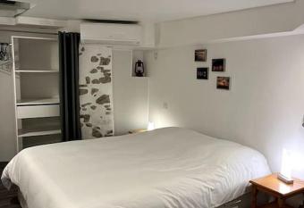 Appartement climatis   ALBI - Centre allows 18 year olds to book a room