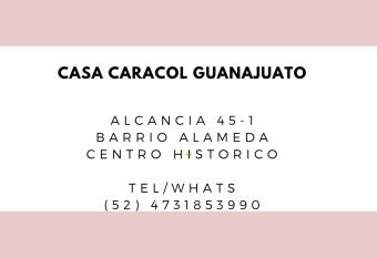 Casa Caracol Guanajuato allows 18 year olds to book a room