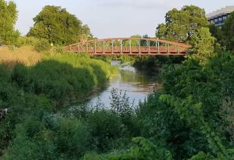Studio Apartment - San Antonio Southtown has Balcony rooms