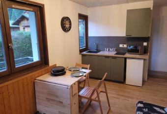 Studio Ch  tel r  nov   et lumineux allows 18 year olds to book a room