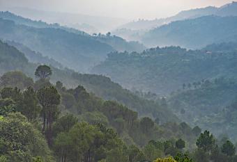 RedhomeX THE CENTURION has Balcony rooms