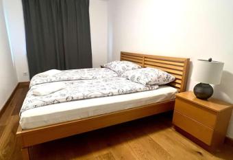 Cosy apartment with a fireplace has Balcony rooms