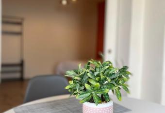 Dobe. Bonito y c  ntrico loft con patio allows 18 year olds to book a room