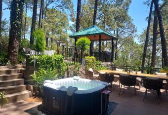 Alpviram Villa, 4 Bhk En-suite villa with elevator allows 18 year olds to book a room