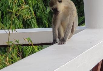 Bella Breeze1 - Diani Beach, Kenya allows 18 year olds to book a room