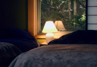                                         40                                                                            has Balcony rooms