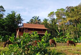 Havana Horses Lodge has Balcony rooms
