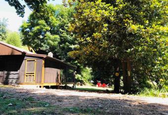 Cabin at the cove at Watauga Lake has Balcony rooms