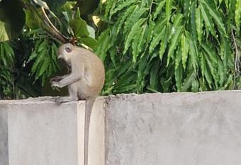 Bella Breeze2 -Diani Beach Kenya allows 18 year olds to book a room