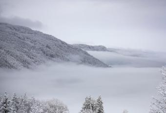Appartement Lake View has Balcony rooms