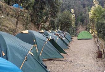 Janardan Campsite Kausani has Balcony rooms