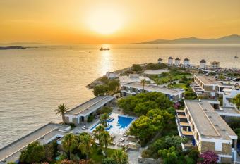 Mykonos Theoxenia, a member of Design Hotels allows 18 year olds to book a room