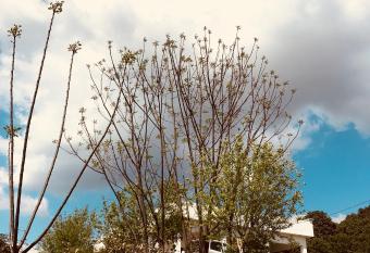 The Wild Wild has Balcony rooms