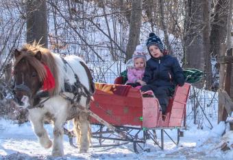 Casa Calea Haiducilor has Balcony rooms