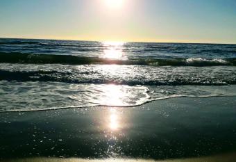 Cockleshell Chalet allows 18 year olds to book a room