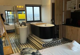 Cocooning Studio ALBI has rooms with a private hot tub