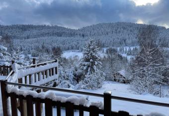 Chalet situ   au grand Valtin has Balcony rooms