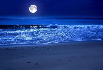 Buzovna Delmar Paradise Sea Residents has Balcony rooms