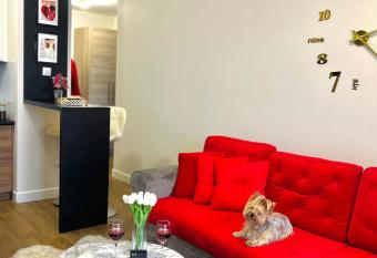 Downtown Apartments Presley air-conditioned has Balcony rooms