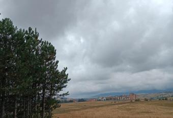 Apartment Diana allows 18 year olds to book a room