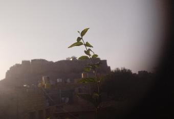 Hotel Global allows 18 year olds to book a room