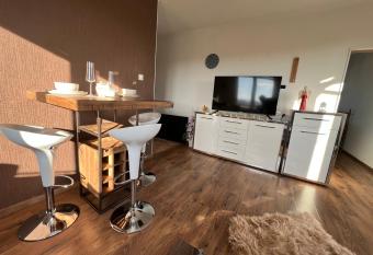 Penthouse na 12 poschod   s terasou a v  h  adom na cel   mesto has Balcony rooms