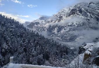 Kasol Hostel has Balcony rooms