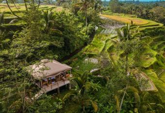 Nadi Nature Resort allows 18 year olds to book a room