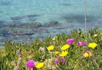 Rachel Hotel has Balcony rooms