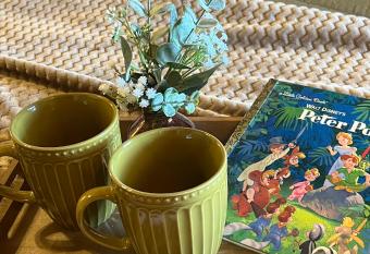 Escape to Neverland Acorn Hideaways Next to Trade Days allows 18 year olds to book a room