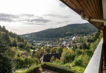Ferienwohnung Ursel has Balcony rooms