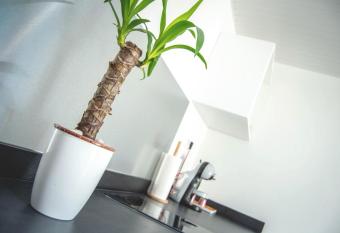 B  lya allows 18 year olds to book a room