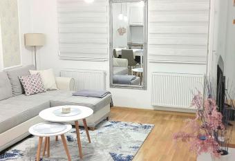 Silver Apartment allows 18 year olds to book a room