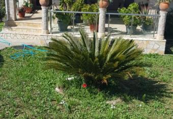 sunset house has Balcony rooms