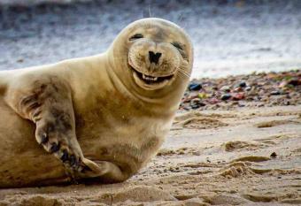 The Beach Hut has Balcony rooms